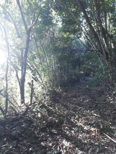 Imagem 3 de 8 de Terreno Rural Sete Lagoas