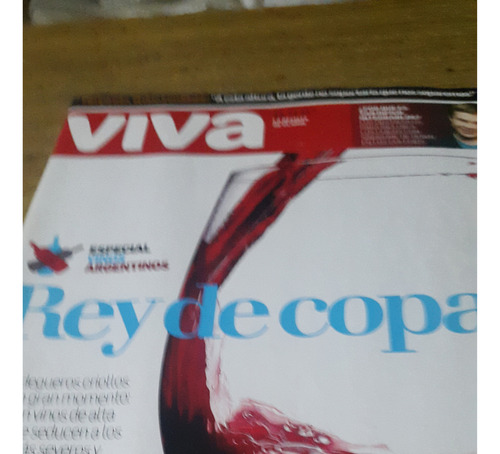 Revista Viva Clarin N° 1645 2007 Marina Marre Modelo