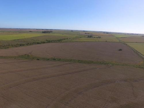 Imagen 2 de 7 de 500 Hectáreas Agrícolas En San Salvador, Entre Ríos A 1000 Metros Del Ripio.
