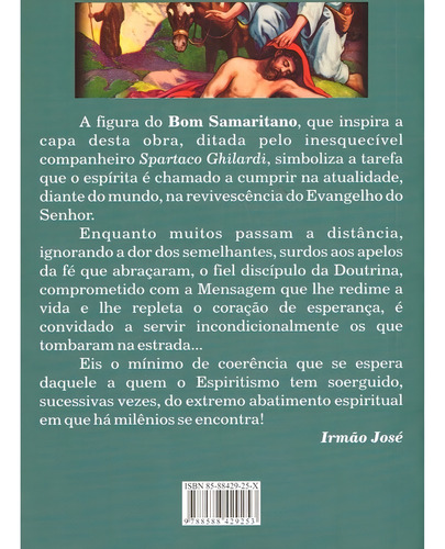 Ao Tarefeiro Espírita