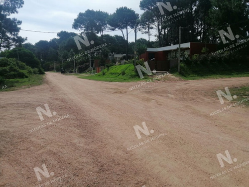 Imagen 3 de 6 de Terreno En Punta Ballena, Chihuahua - Punta Ballena Chihuahua