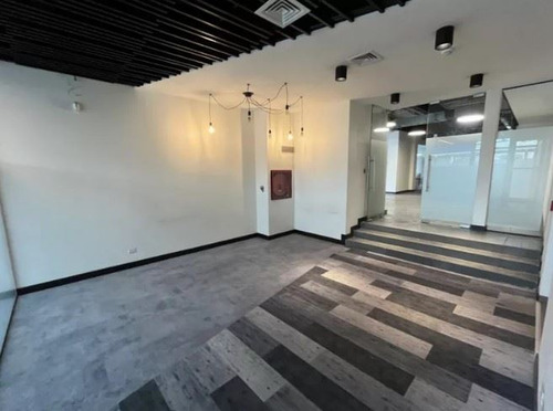 Propiedad Comercial En Metro Rodizzni 3450 M2