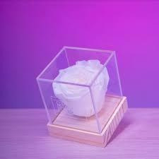 Imagen 4 de 10 de Fabrica De Cajas Acrilicas Cualquier Tamaño Y Forma