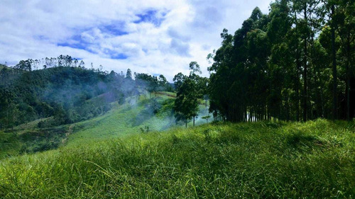 V16- Terrenos De 1000m Em Igaratá