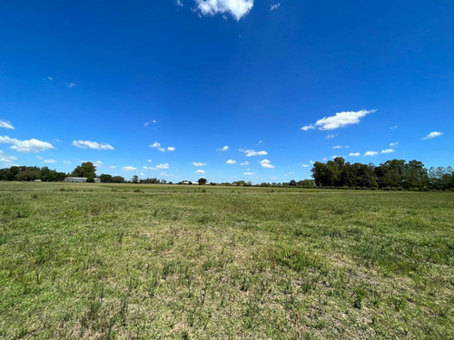 Imagen 2 de 7 de Terreno En Venta En Zárate
