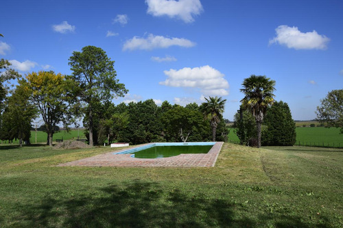 Venta Campo Arrecifes