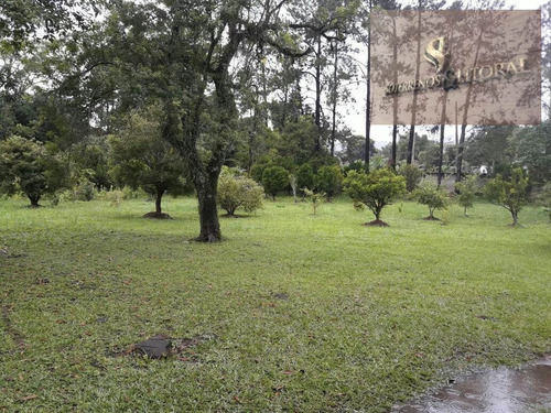 Imagem 7 de 18 de Sítio Em Quatinga - Mogi Das Cruzes -sp