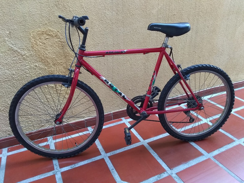 Bicicleta Rin 24