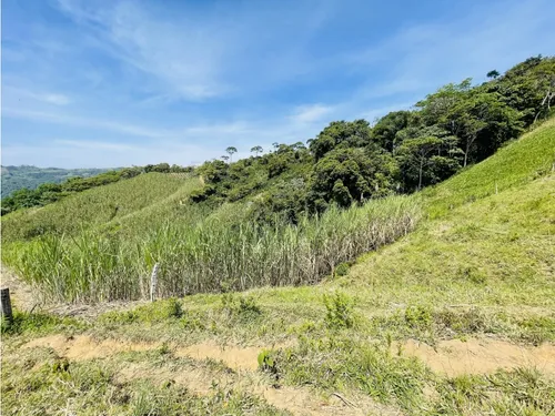 Se Vende Finca Productiva En San Roque, Antioquia.