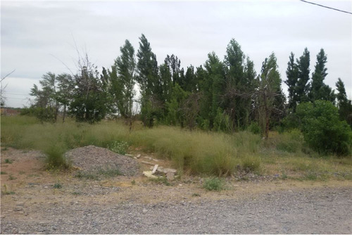 Imagen 2 de 3 de Venta Lote B° Las Lilas De Plottier