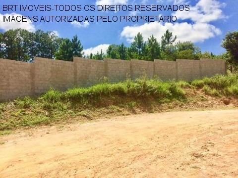 Imagem 5 de 12 de Terreno - Te00103 - 32800263