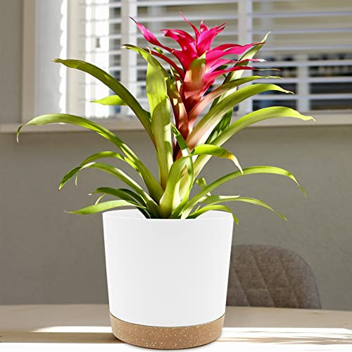 Juego De 2 Macetas 20 Cm, Plantas Interior, Drenaje, Base Ex