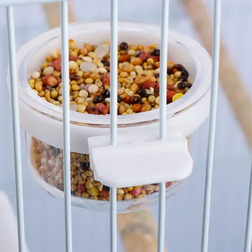 Comederos Para Aves En Paquete Completo