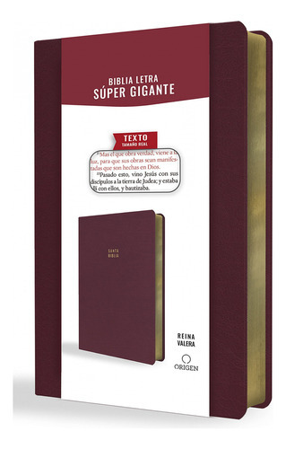 Biblia Rv1909 Lt Súper Gigante Símil Piel Vino Tinto 16pt Pjr, De Reina Valera 1909. Editorial Penguin Random House, Tapa Blanda En Español