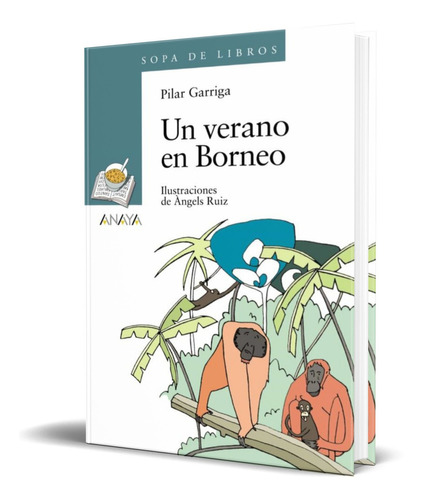 UN VERANO EN BORNEO, de PILAR GARRIGA. Editorial ANAYA, tapa blanda en español, 2009