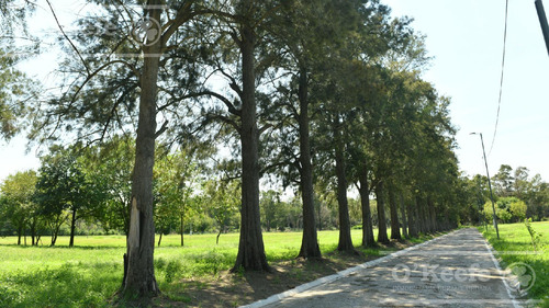Lote En Venta, Barrio Residencial Los Cedros El Pato