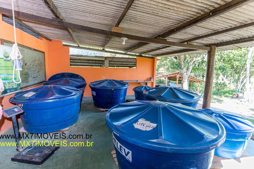 Imagem 12 de 15 de Sítio / Chácara Para Venda Em Mata De São João, Zona Rural, 10 Dormitórios, 3 Suítes, 9 Banheiros, 90 Vagas - 424_1-1401170
