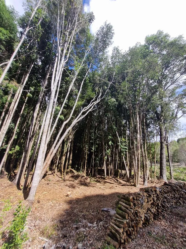 Vendo Parcelas Sector Altos De Polincay Puerto Montt