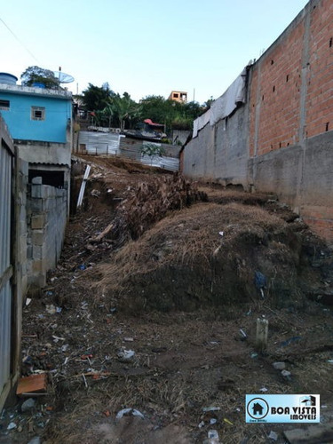 Imagem 2 de 5 de Terreno Em Rua - B0572-v