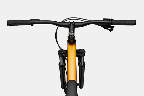 Bicicleta 29 Cannondale Trail 5 Microshift 10v. Grafite