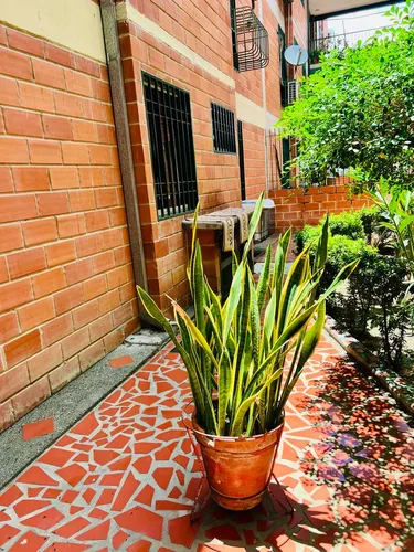 Jardines De Castillejo