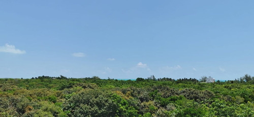 Imagen 2 de 4 de Venta De Terreno 1100mts En Isla Blanca Cancún