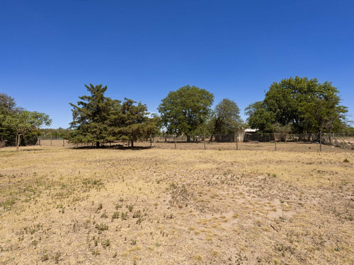 Imagen 16 de 18 de Quinta En Venta En Villa Lía