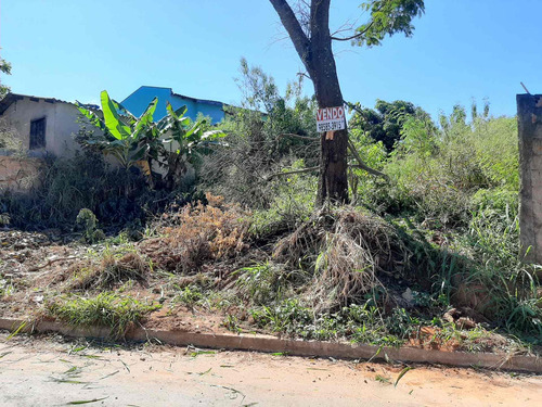 Imagem 12 de 14 de Lote / Terreno Em Residencial Cândido Queiroz - Aparecida De Goiânia - 8361