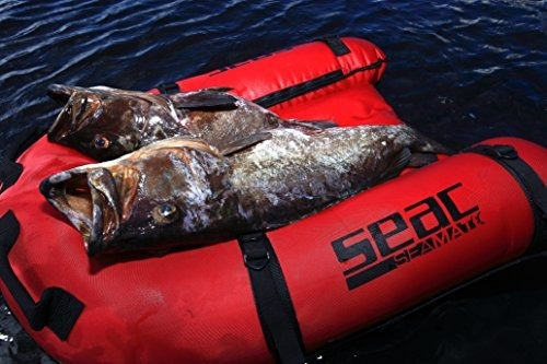 Imagen 4 de 4 de Barco Seac Sea Mate Inflatabe Gangway
