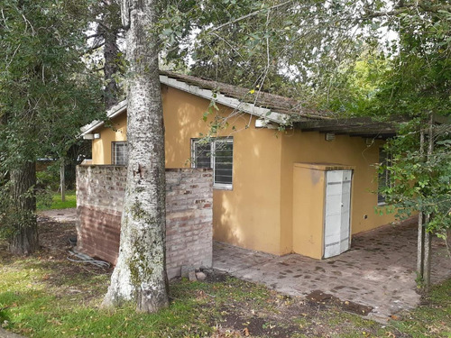 Imagen 7 de 17 de Venta-casa Quinta- Arroyo De La Cruz-zona Norte- 3 Ambientes- Pileta