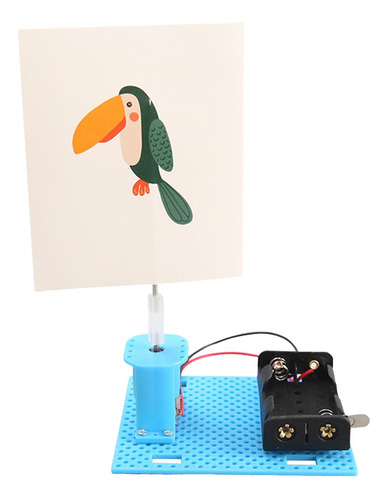 Jaula Eléctrica Para Pájaros, Juguete Educativo Práctico