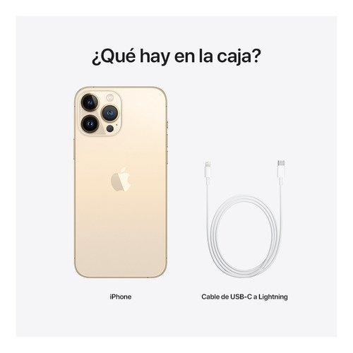 Imagen 9 de 9 de Apple iPhone 13 Pro Max (256 GB) - Oro