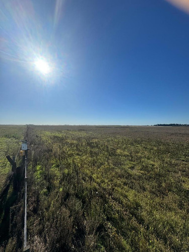 Campo En Saladillo