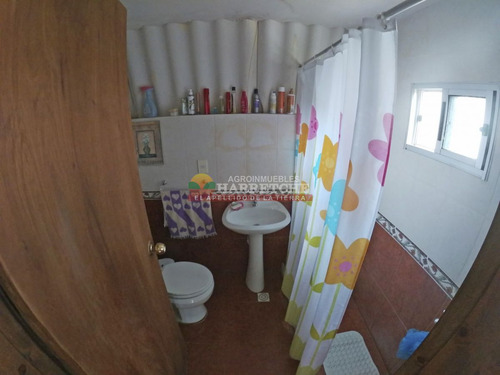 Imagen 16 de 23 de Chacra En Venta, Canelón Chico, 3 Has, Muy Linda Casa!
