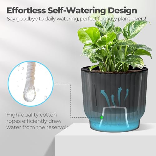 Paquete De 6 Macetas De Riego Automático Para Plantas De Int