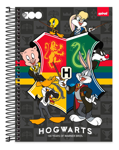 Caderno Universitário 15x1 240 Folhas Warner Bros Hogwarts