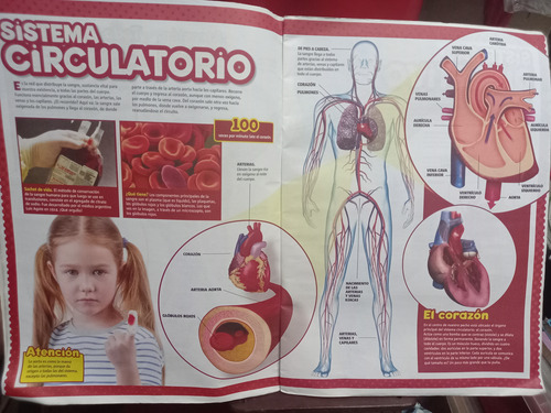 Gran Libro Del Cuerpo Humano, Billiken+ 2 Laminas