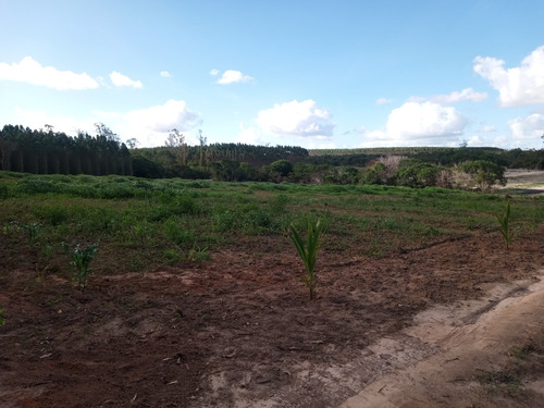Área De Terra Com 12 Tarefas