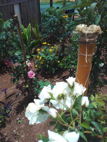 Imagem 7 de 9 de Chácara Com Uma Vista Incansável, Lugar De Descanso E Paz.