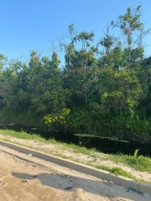 Imagem 4 de 4 de Terreno No Jd Coronel Com 420 M², Em Itanhaém/sp 9700-pc