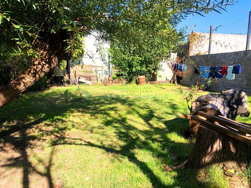 Imagen 9 de 13 de Colonia Del Sacramento - Casa Y Apartamento En Un Excelente Punto