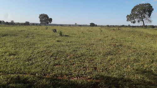 Imagem 7 de 9 de Fazenda Dupla Aptidão Município Campina Verde