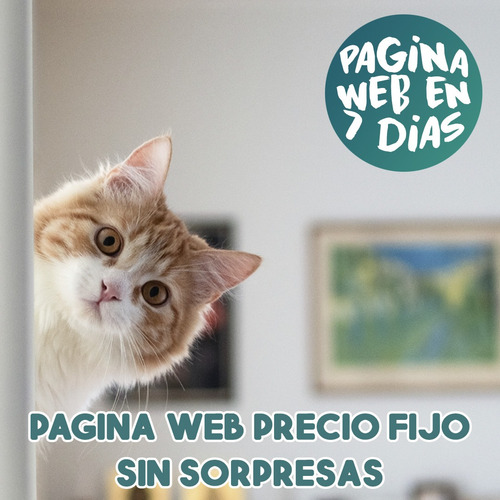 Imagen 2 de 10 de Página Web - Carrito Con Webpay Pago Online Todo Incluido