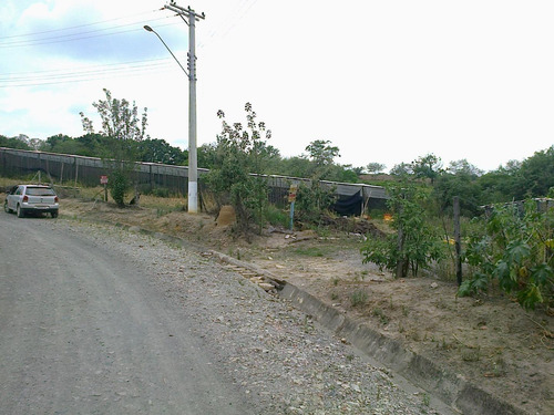 Imagem 25 de 28 de Chácara À Venda, 20000 M² Por R$ 530.000 - Ipiranga - Elias Fausto/sp - Ch0029
