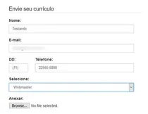 Comprar Formulário De Contato Com Anexo Script Php Form Script Php