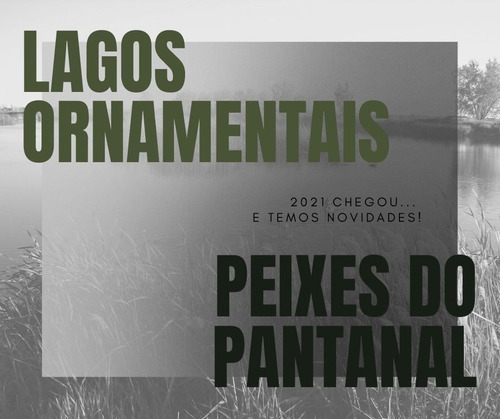 Lagos Ornamentais Tematicos. (diaria)