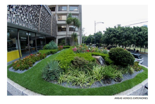 Imagen 14 de 14 de Moderna Oficina En Renta, Zona Polanco 120 M2
