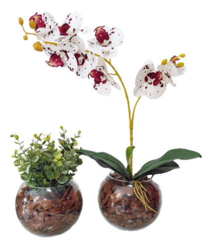 Kit 2 Arranjos Orquídeas Tigrada Decoração E Vaso Terrário