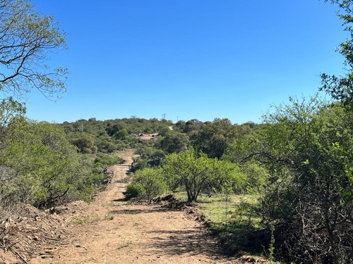Venta De Lote Barrio Semi Cerrado Piedra Alpa - Cerro Pelado - Inv0118