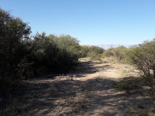 Imagen 5 de 9 de Venta De 4 Has En Villa Dolores, Traslasierras